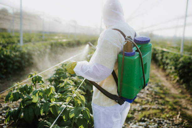 Best Commercial Pest Control Services  in Veneta, OR